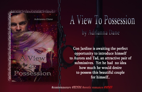 ViewToPossession_banner